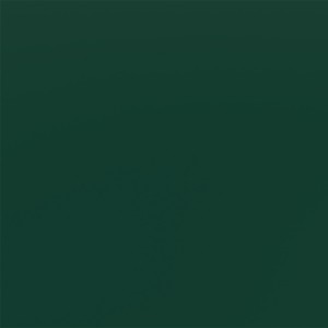 Sample Moss Green RAL 6005
