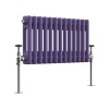 Bern 300 x 605mm Elegant Purple Double Horizontal Column Radiator