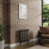Bern 600 x 605mm Raw Metal Double Column Horizontal Traditional Radiator