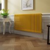 Bern 600 x 1190mm Zinc Yellow Double Column Horizontal Traditional Radiator