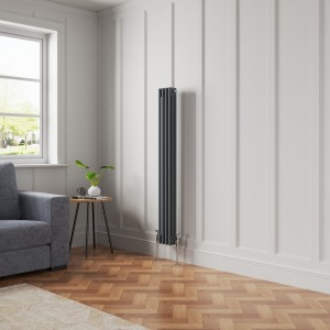 Bern Anthracite Vertical Column Radiator - Choice Of Sizes