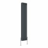 Bern 1500 x 290mm Anthracite Triple Column Vertical Traditional Radiator