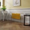 Bern 300 x 605mm Zinc Yellow Double Column Horizontal Traditional Radiator