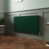 Norden 600 x 1181mm Moss Green Double Oval Column Horizontal Designer Radiator