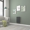 Norden - Anthracite Horizontal Oval Column Designer Radiator- 600mm Height - Choice of Width