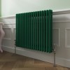 Bern 600 x 830mm Moss Green Double Horizontal Column Radiator