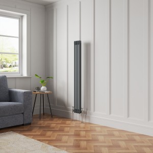 Bern - Anthracite Traditional Vertical Double Column Radiator - Choice of Size