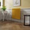 Bern 600 x 605mm Zinc Yellow Double Column Horizontal Traditional Radiator