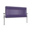 Bern 300 x 830mm Elegant Purple Double Horizontal Column Radiator
