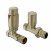 15mm Straight Thermostatic Designer Radiator Valves - Brushed Brass