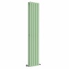 Lulea 1800 x 340mm Pastel Green Double Flat Panel Vertical Designer Radiator
