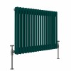Bern 600 x 830mm Blue Green Double Horizontal Column Radiator
