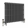 Classic  745 x 840mm  Farrow & Ball Railings Grey Triple Column Cast Iron Radiator - 13 Sections