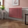 Bern 600 x 1010mm Rose Pink Double Column Horizontal Traditional Radiator