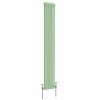 Bern 1800 x 290mm Pastel Green Double Vertical Column Radiator