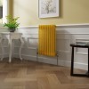 Bern 600 x 425mm Zinc Yellow Double Column Horizontal Traditional Radiator