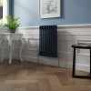 Bern 600 x 425mm Sapphire Blue Double Column Horizontal Traditional Radiator