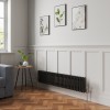 Bern 300 x 1460mm Black Double Column Horizontal Traditional Radiator