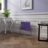 Bern 300 x 425mm Elegant Purple Double Column Horizontal Traditional Radiator