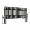 Bern 300 x 830mm Raw Metal Double Column Horizontal Traditional Radiator