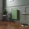 Norden 600 x 414mm Pastel Green Double Oval Column Horizontal Designer Radiator