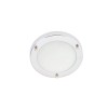 Delphi 12w Small LED 4000k Chrome