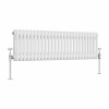 Bern 300 x 1190mm White Double Column Horizontal Traditional Radiator
