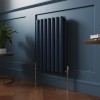 Norden 600 x 414mm Sapphire Blue Double Horizontal Oval Column Designer Radiator