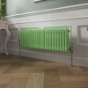 Bern 300 x 1010mm Pastel Green Double Horizontal Column Radiator