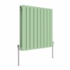 Karlstad 600 x 614mm Pastel Green Double Flat Panel Horizontal Designer Radiator