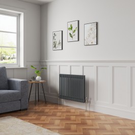 Anthracite Traditional Cast Iron Horizontal Double Column Radiator 600 ...