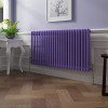 Bern 600 x 1190mm Elegant Purple Double Column Horizontal Traditional Radiator