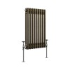 Bern 600 x 425mm Black Gold Double Horizontal Column Radiator