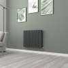 Norden 600 x 768mm Anthracite Double Horizontal Oval Tube Designer Radiator