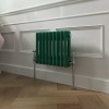 Bern 300 x 425mm Moss Green Double Horizontal Column Radiator