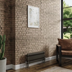 Bern 300 x 830mm Raw Metal Double Column Horizontal Traditional Radiator