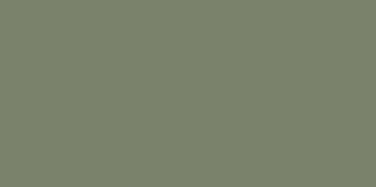 Cielo Verde Green Matt Plain Tiles 1198x598 - 1.44sqm - 2 - Box Qty
