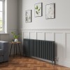 Bern 600 x 1460mm Anthracite Four Column Horizontal Traditional Radiator