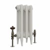 Classic  450 x 220mm  Porcelain White Triple Column Cast Iron Radiator - 3 Sections