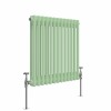 Bern 600 x 605mm Pastel Green Double Horizontal Column Radiator