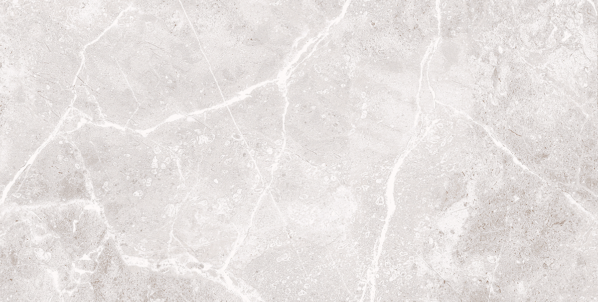 Agora Light Grey Matt Marble Effect Wall Tile 600x300  - 5.56sqm - 9 -Box Qty
