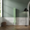 Bern 1500 x 200mm Pastel Green Double Vertical Column Radiator