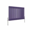 Bern 600 x 1010mm Elegant Purple Double Horizontal Column Radiator
