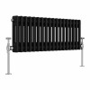 Bern 300 x 830mm Black Double Column Horizontal Traditional Radiator