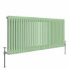 Bern 600 x 1460mm Pastel Green Double Horizontal Column Radiator