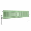 Bern 300 x 1460mm Pastel Green Double Horizontal Column Radiator
