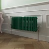 Bern 300 x 830mm Moss Green Double Horizontal Column Radiator