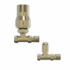 15mm Straight Thermostatic Radiator Valve and Lockshield Pack - Brushed Brass