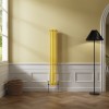 Bern 1500 x 200mm Zinc Yellow Double Column Vertical Traditional Radiator