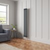 Bern 1800 x 290mm Anthracite Double Column Vertical Traditional Radiator